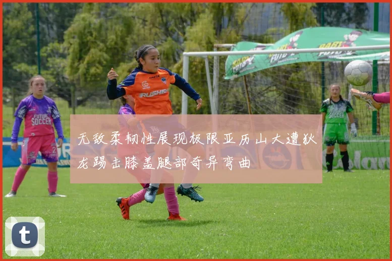 无敌柔韧性展现极限亚历山大遭狄龙踢击膝盖腿部奇异弯曲