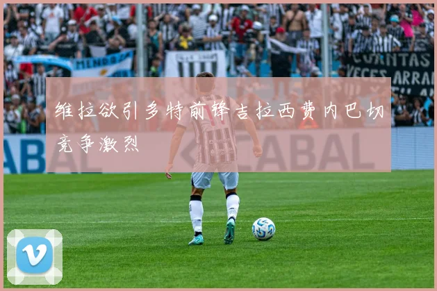 维拉欲引多特前锋吉拉西费内巴切竞争激烈
