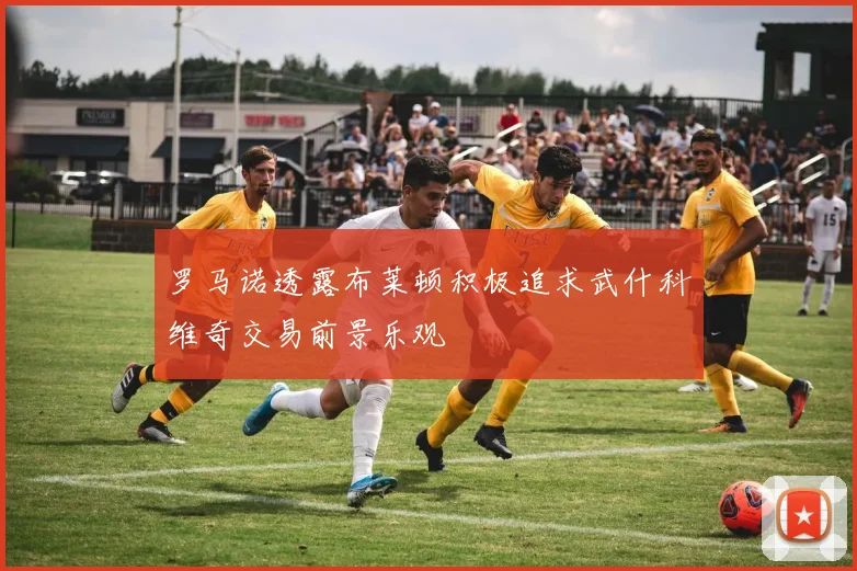 罗马诺透露布莱顿积极追求武什科维奇交易前景乐观